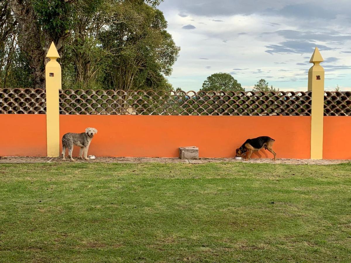 Hotel Antigua Hacienda Metepec Zacatlán Exterior foto
